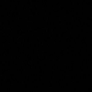 Meet your Posher, Brooklyn